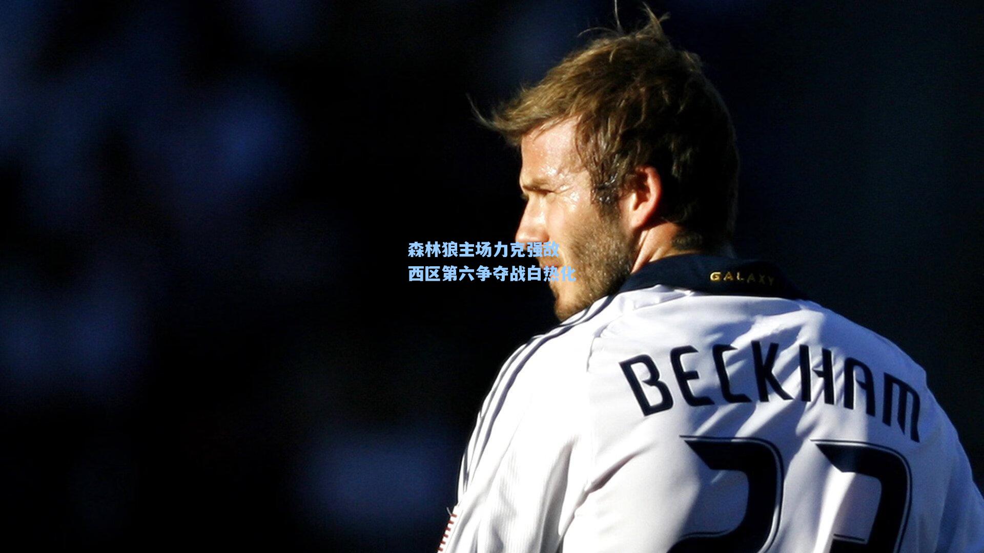 森林狼主场力克强敌 西区第六争夺战白热化